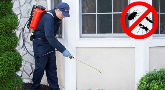 Pervari Karınca İlaçlama böcek ilaçlama ve haşere kontrolü — ilaclama-tr.com
